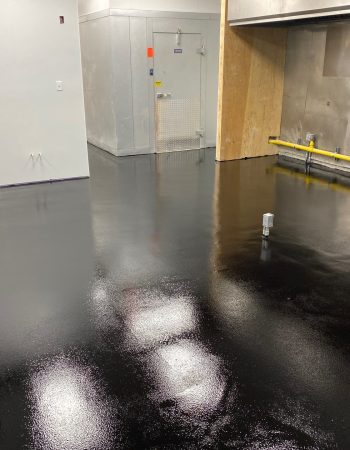 Floor Warriors – Thomasville Georgia