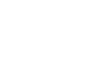 Alanis Epoxy Solutions LLC logo