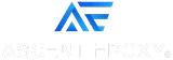 Ascent Epoxy Palm Beach logo