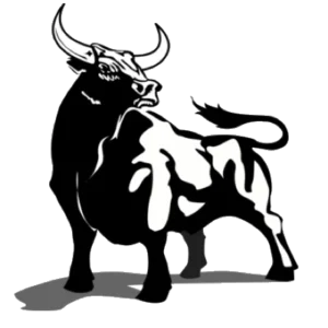 Bull Epoxy Solutions LLC logo