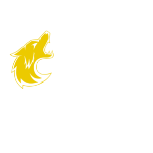 Coyote Garage Solutions logo