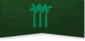 Pacific Cal Floor logo