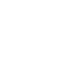 Priority Concrete Coatings logo