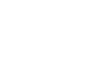 Southeastern Concrete Coatings logo