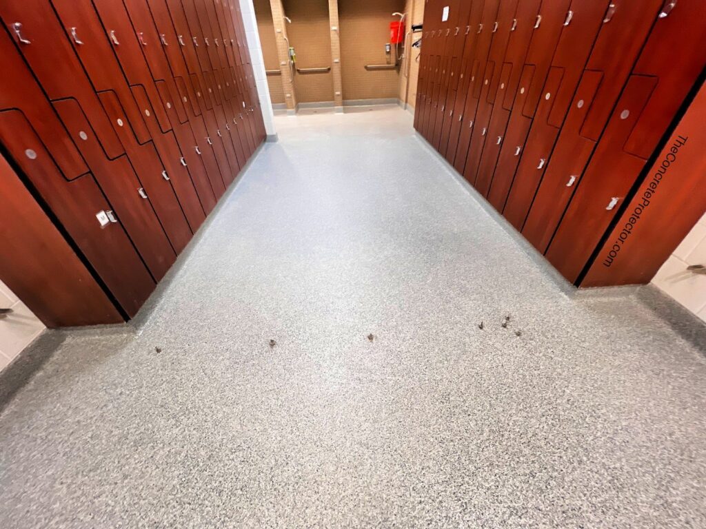 Example of a finished flake epoxy concrete floor coating in Plano, TX