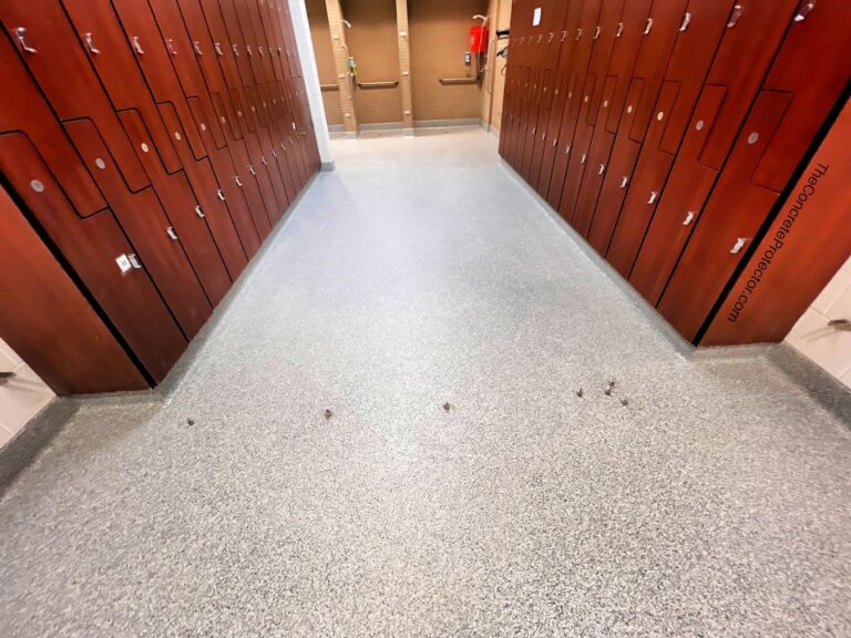 Example of a finished flake epoxy concrete floor coating in Covington, WA – Accelerated Industrial Coatings